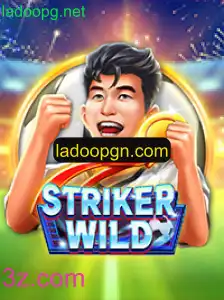 StrikerWILD: Um Mergulho no Universo do Novo Jogo